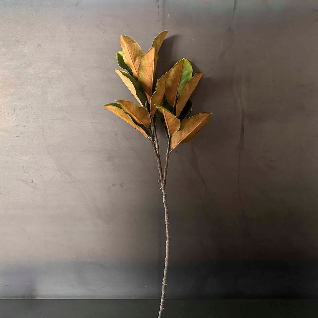 RAMA TRIPLE HOJAS MAGNOLIA.   EUREP004