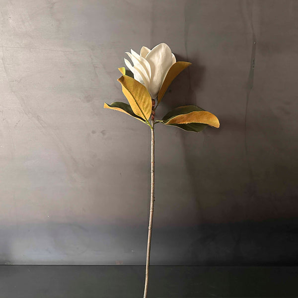 FLOR MAGNOLIA. EUREP006