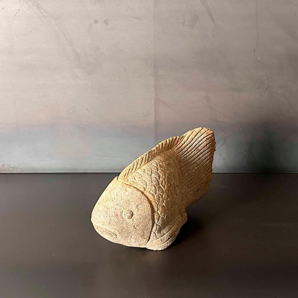 PEZ PIEDRA GDE.  INKAL031A