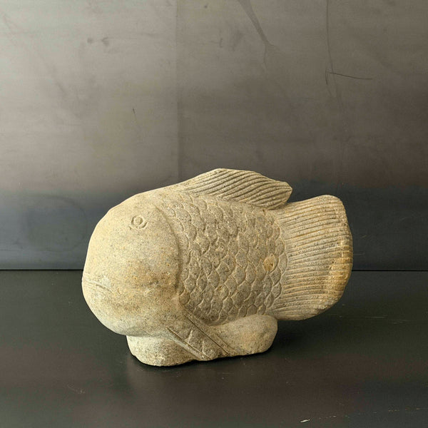 PEZ PIEDRA.   INKAL034