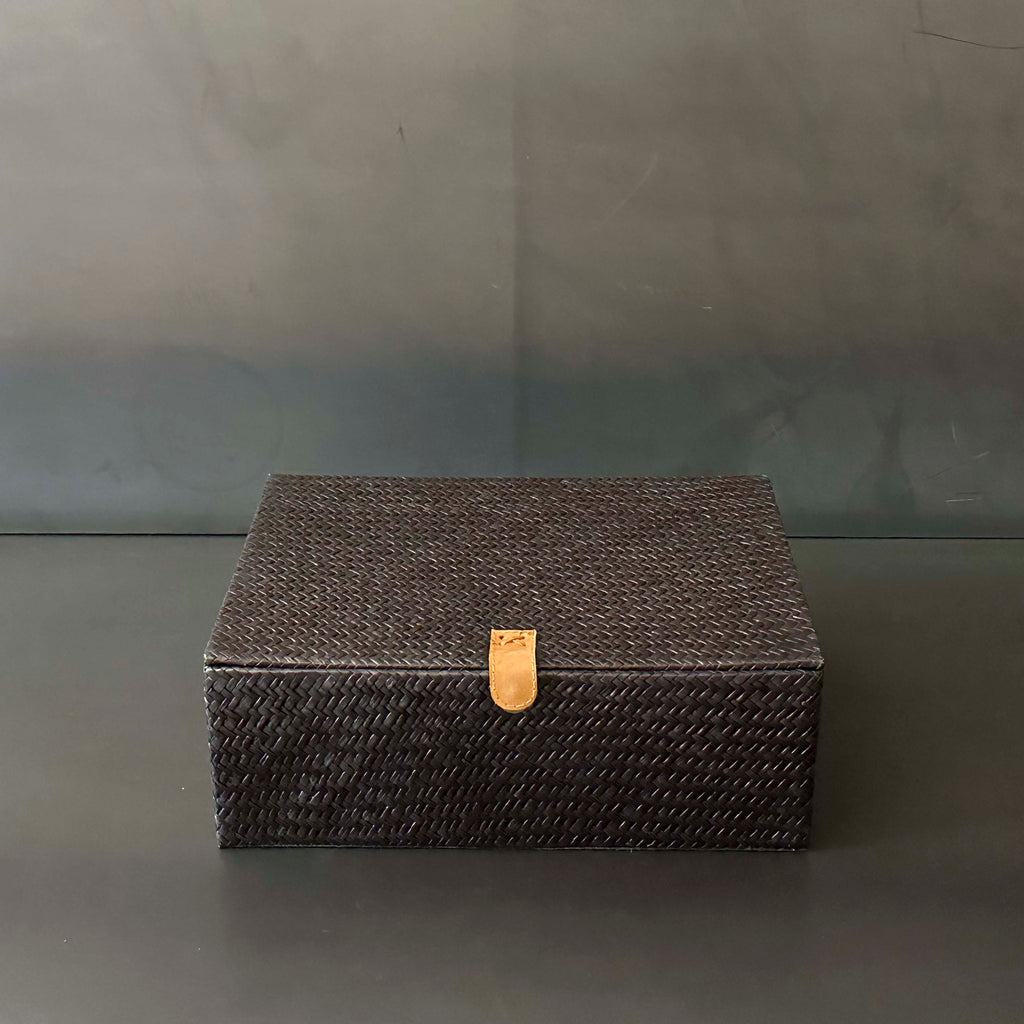 CAJA NEGRA DE PIEL CON ASAS GDE.  INPAN002A