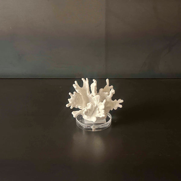 CORAL BLANCO MINI.  MECOR001B