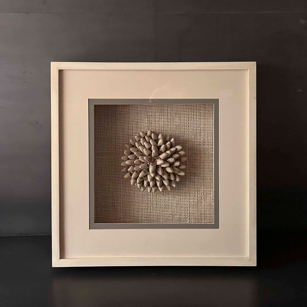 CUADRO CAPULLOS.   MEXLA002