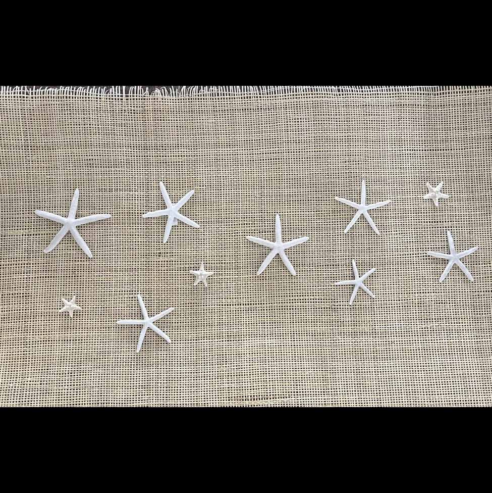 CUADRO 10 ESTRELLAS   MEXLA004