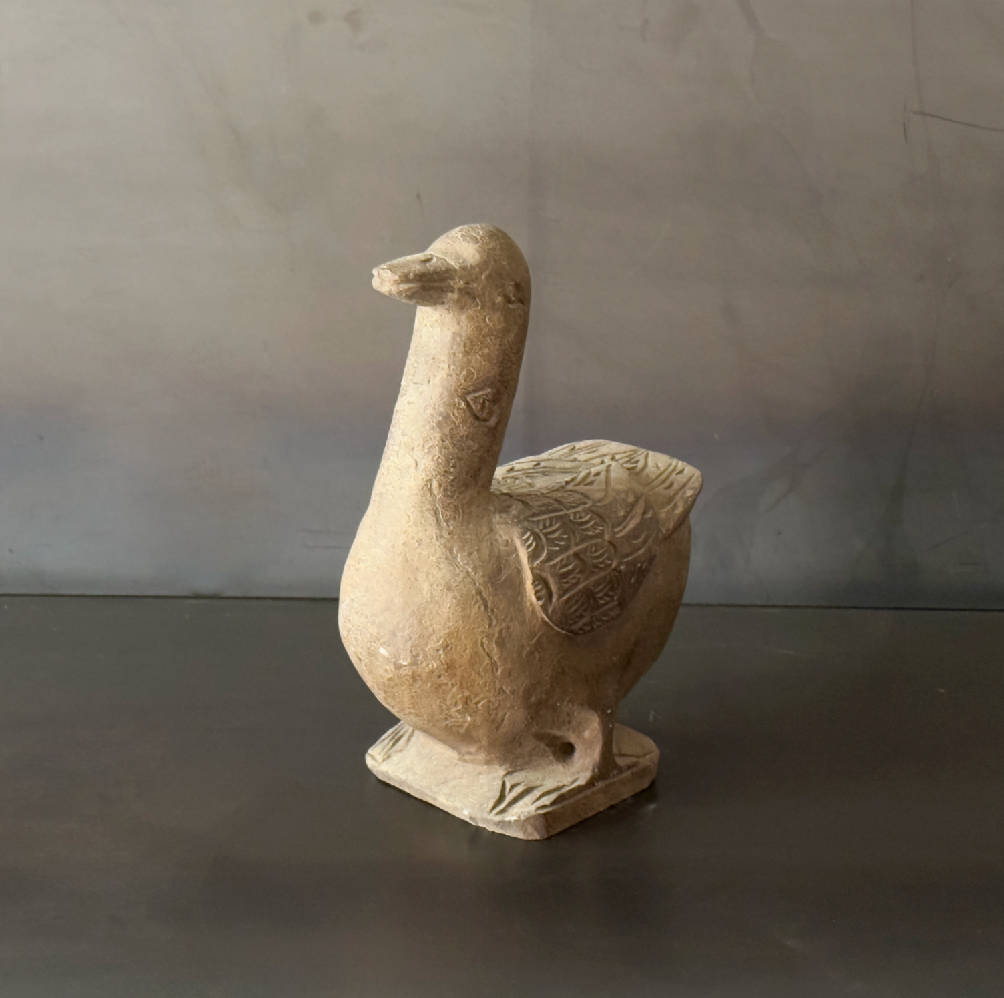 PATO DE PIEDRA.   BOMER003