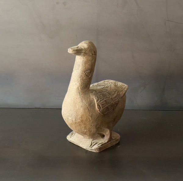 PATO DE PIEDRA.   BOMER003