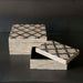 CAJA CONCHA NACAR CHICA  BOCRE035B