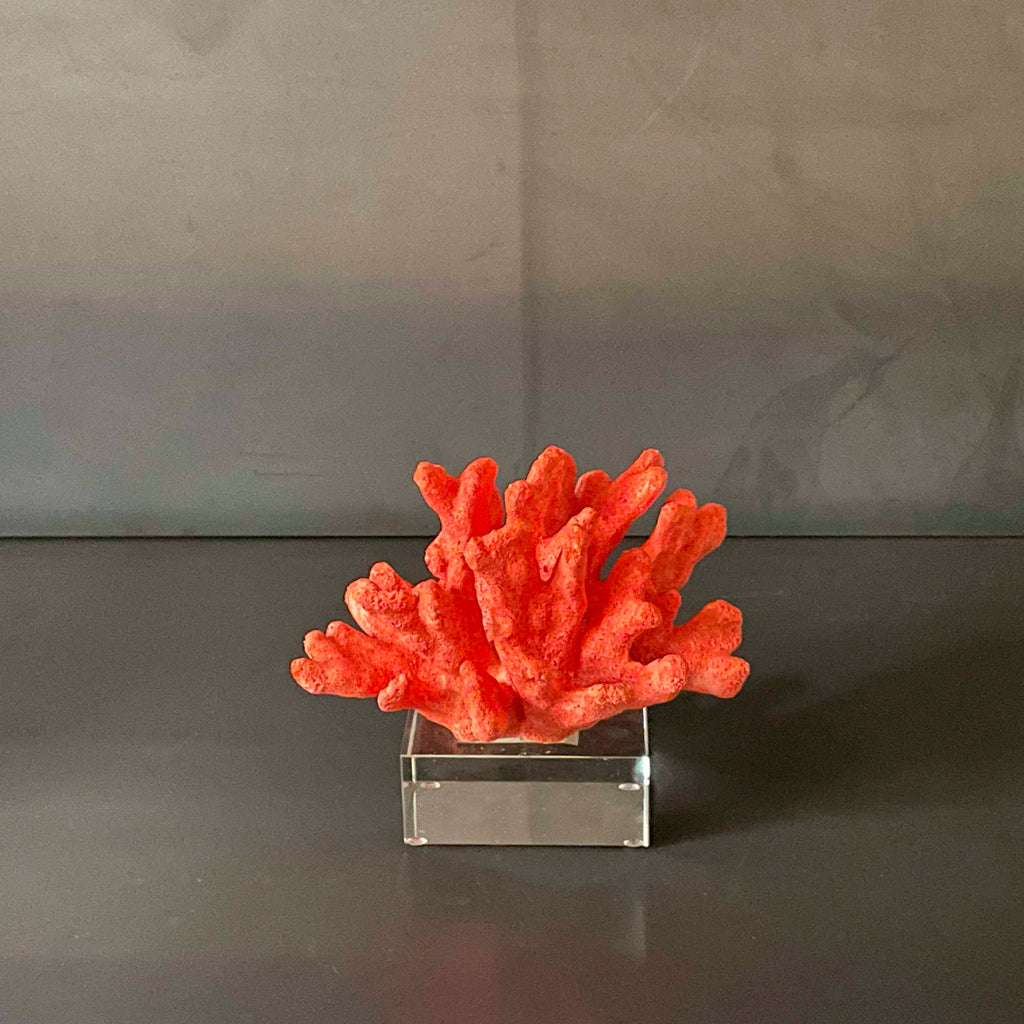 CORAL CORAL CON BASE ACRILICO.  BOEVE021