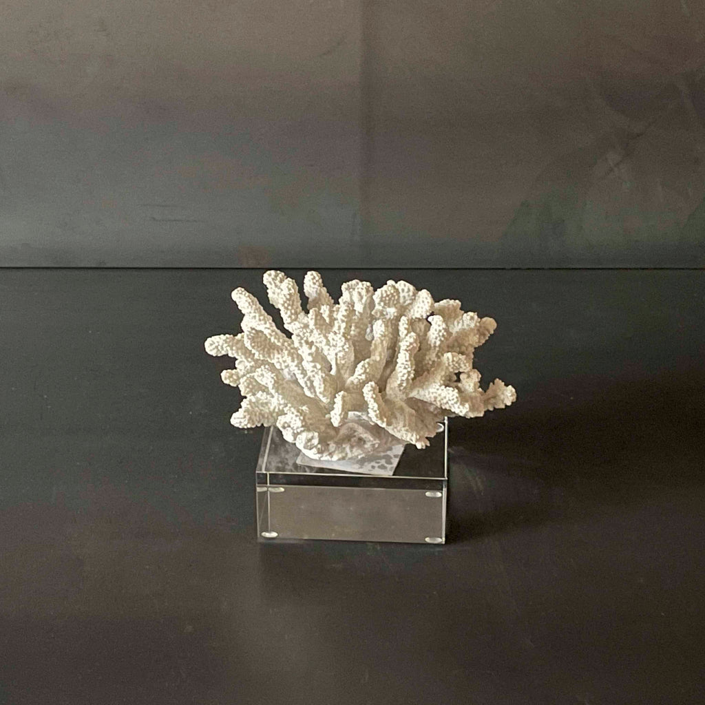 CORAL VIDRIO BASE DE ACRILICO.  BOEVE022