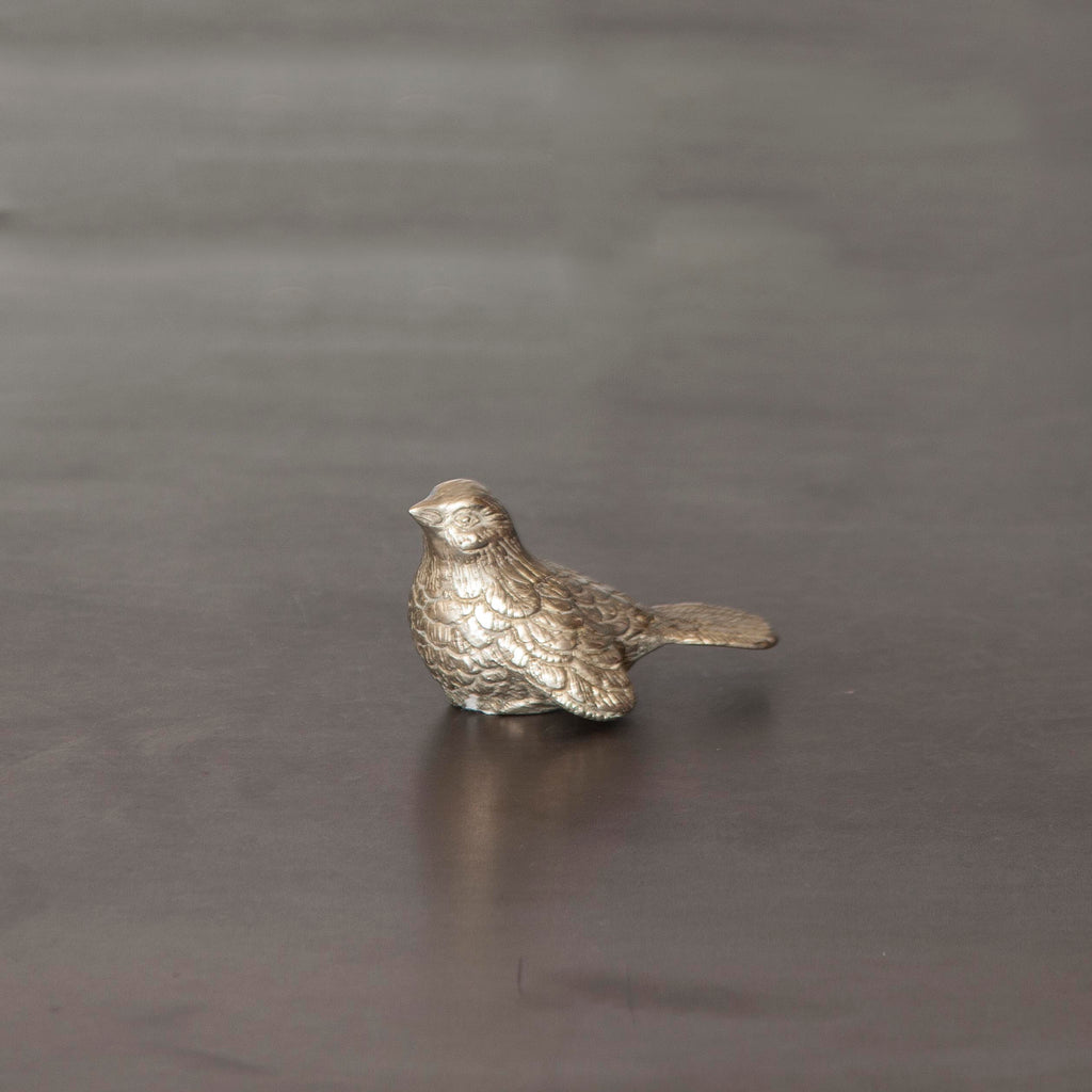 PAJARO PLUMAS SENTADO