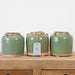 OLLA CERAMICA VERDE C/ASA.  BOJUY016